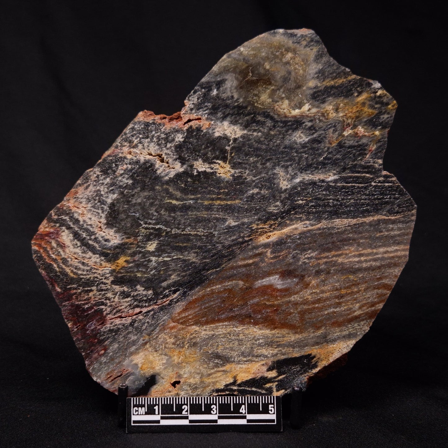 STROMATOLITE, Archean, Australia ZSL023