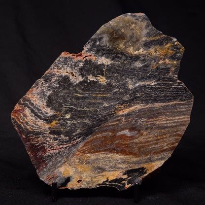 STROMATOLITE, Archean, Australia ZSL023