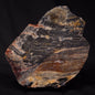 STROMATOLITE, Archean, Australia ZSL023