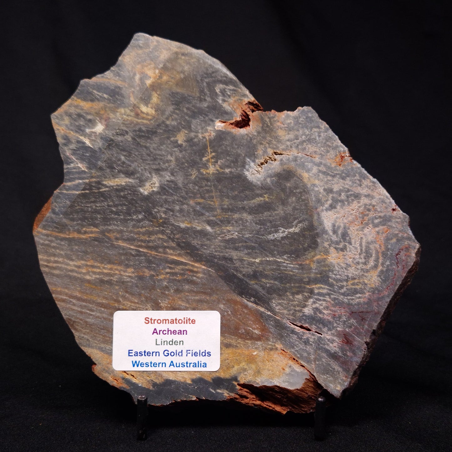STROMATOLITE, Archean, Australia ZSL023
