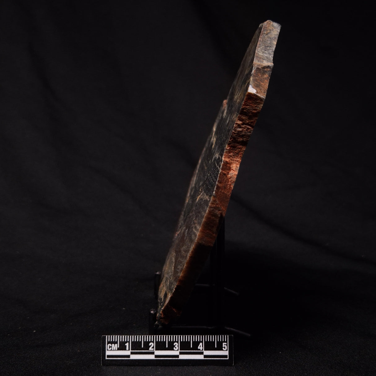 STROMATOLITE, Archean, Australia ZSL023