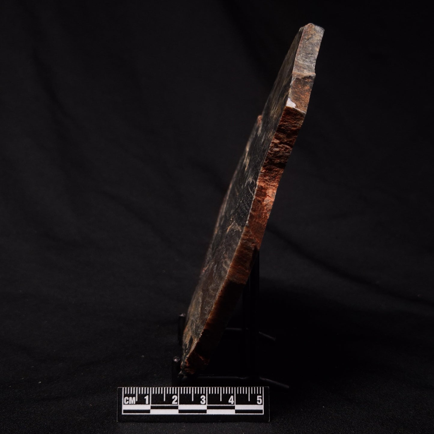 STROMATOLITE, Archean, Australia ZSL023