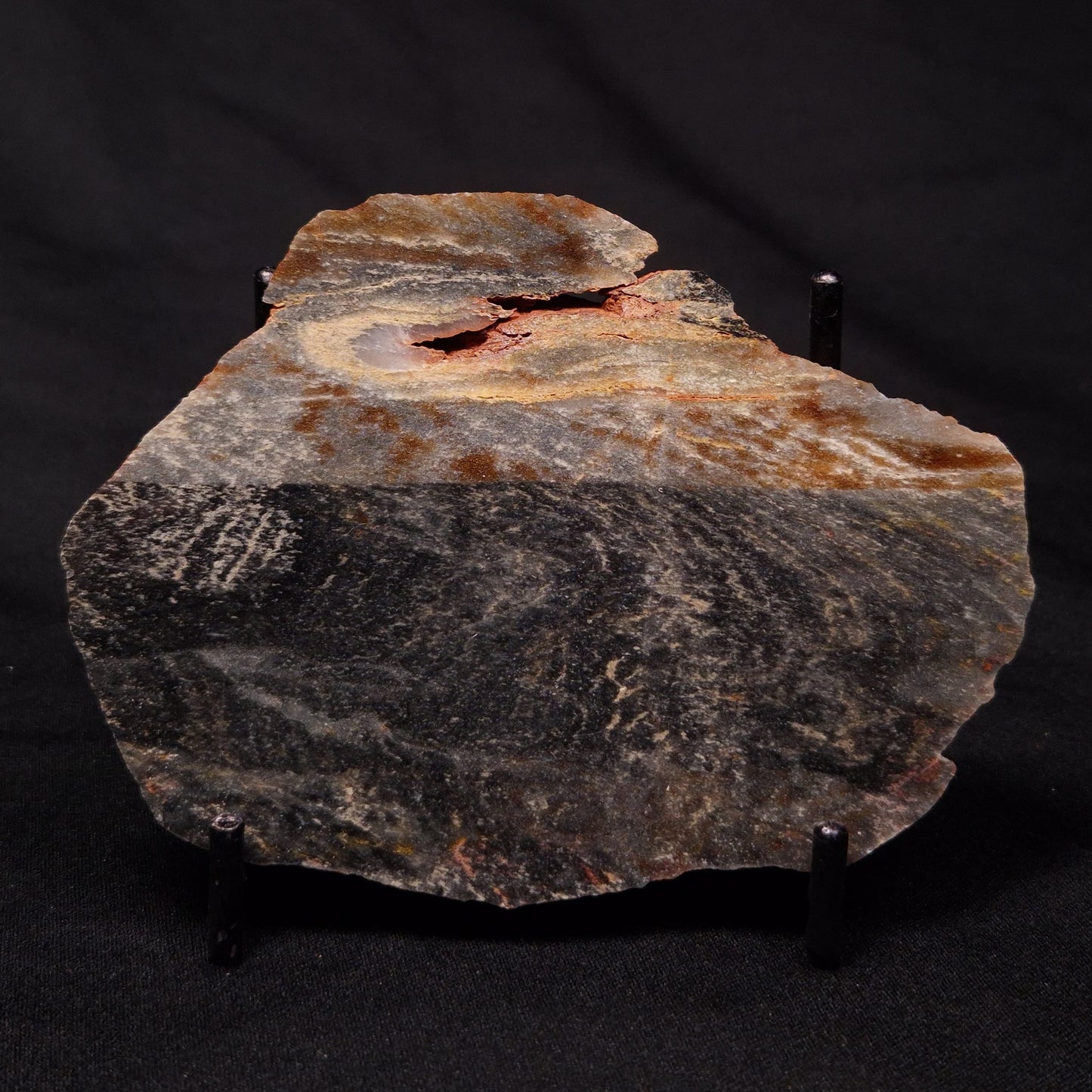 STROMATOLITE, Archean, Australia ZSL025