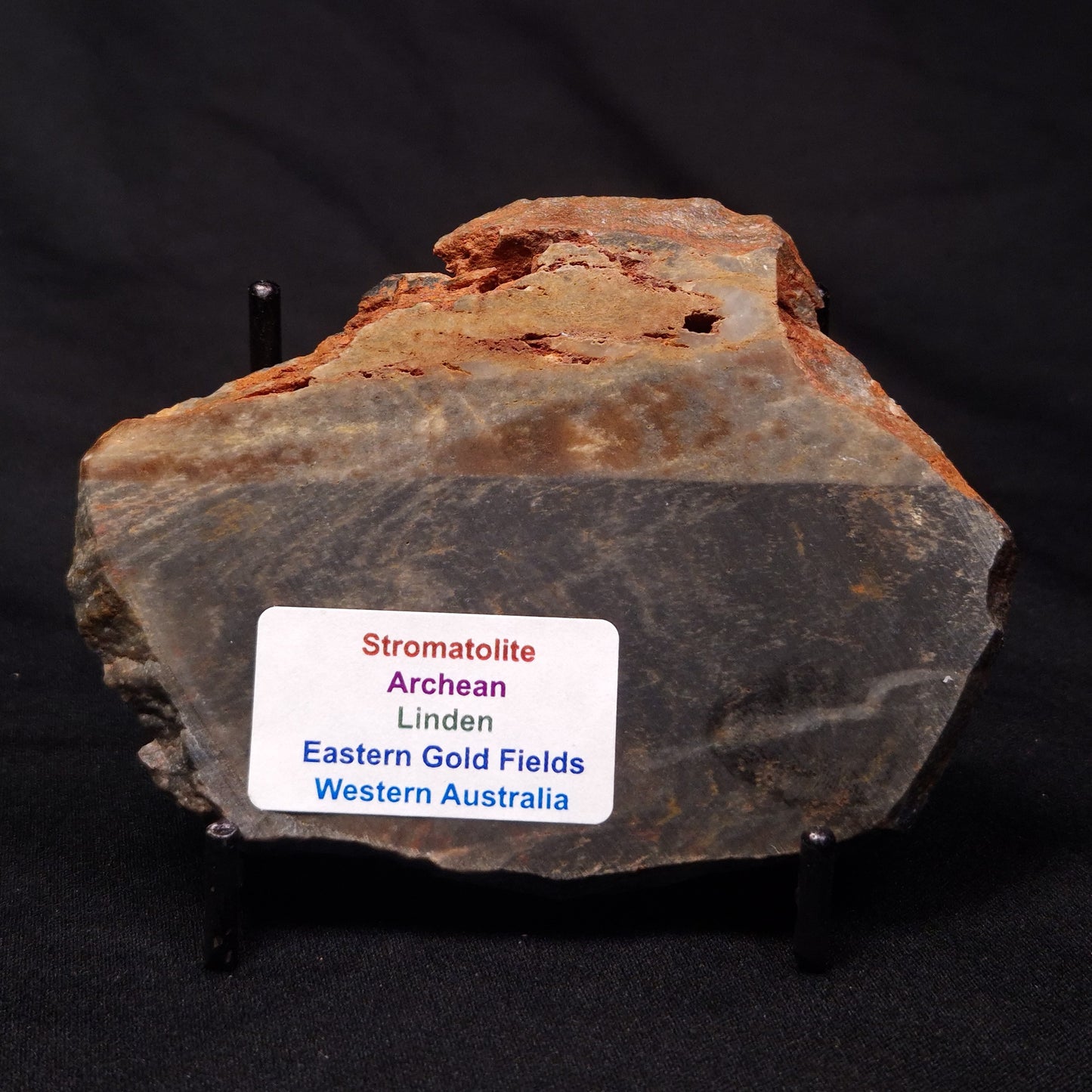 STROMATOLITE, Archean, Australia ZSL025
