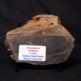 STROMATOLITE, Archean, Australia ZSL025