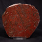 INZERIA INTIA STROMATOLITE, Proterozoic, Australia ZII001