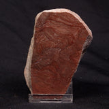 INZERIA INTIA STROMATOLITE, Proterozoic, Australia ZII005