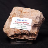 INZERIA INTIA STROMATOLITE, Proterozoic, Australia ZII007