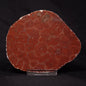 INZERIA INTIA STROMATOLITE, Proterozoic, Australia ZII009