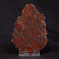 INZERIA INTIA STROMATOLITE, Proterozoic, Australia ZII012