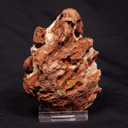 INZERIA INTIA STROMATOLITE, Proterozoic, Australia ZII012
