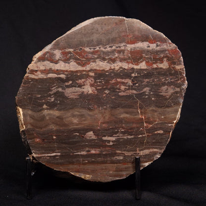 LINELLA AVIS STROMATOLITE, Proterozoic, Australia ZLA024