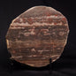LINELLA AVIS STROMATOLITE, Proterozoic, Australia ZLA024