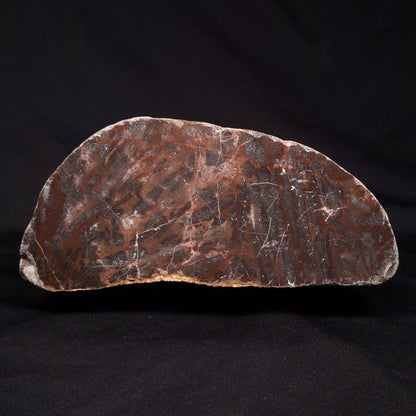 LINELLA AVIS STROMATOLITE, Proterozoic, Australia ZLA025