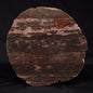 LINELLA AVIS STROMATOLITE, Proterozoic, Australia ZLA026