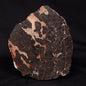 LINELLA AVIS STROMATOLITE, Proterozoic, Australia ZLA029
