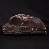 LINELLA AVIS STROMATOLITE, Proterozoic, Australia ZLA031