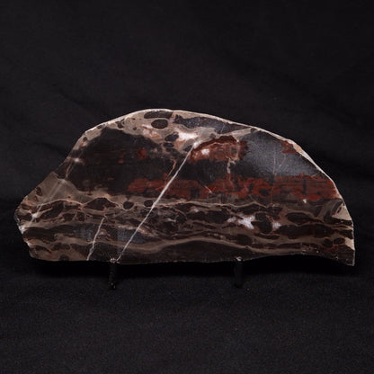 LINELLA AVIS STROMATOLITE, Proterozoic, Australia ZLA031