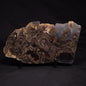 HORSE TOOTH STROMATOLITE, Devonian, Scotland ZHT001