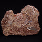 MADIGANITES MAWSONI STROMATOLITE, Cambrian, Australia ZMM023