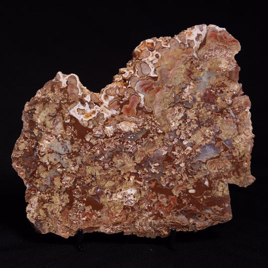 MADIGANITES MAWSONI STROMATOLITE, Cambrian, Australia ZMM024