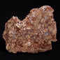 MADIGANITES MAWSONI STROMATOLITE, Cambrian, Australia ZMM024