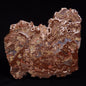 MADIGANITES MAWSONI STROMATOLITE, Cambrian, Australia ZMM025