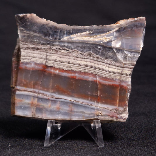 STROMATOLITE, Jerrinah Formation, Proterozoic, Australia ZJF036