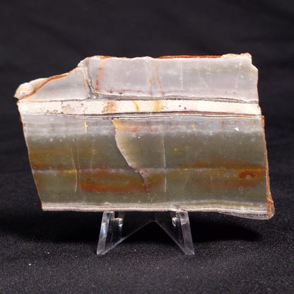 STROMATOLITE, Jerrinah Formation, Proterozoic, Australia ZJF037