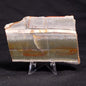 STROMATOLITE, Jerrinah Formation, Proterozoic, Australia ZJF037