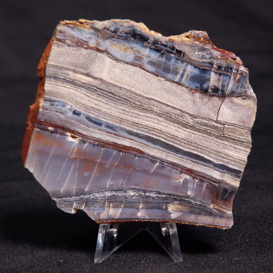 STROMATOLITE, Jerrinah Formation, Proterozoic, Australia ZJF038