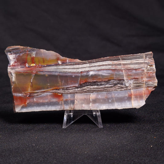 STROMATOLITE, Jerrinah Formation, Proterozoic, Australia ZJF039