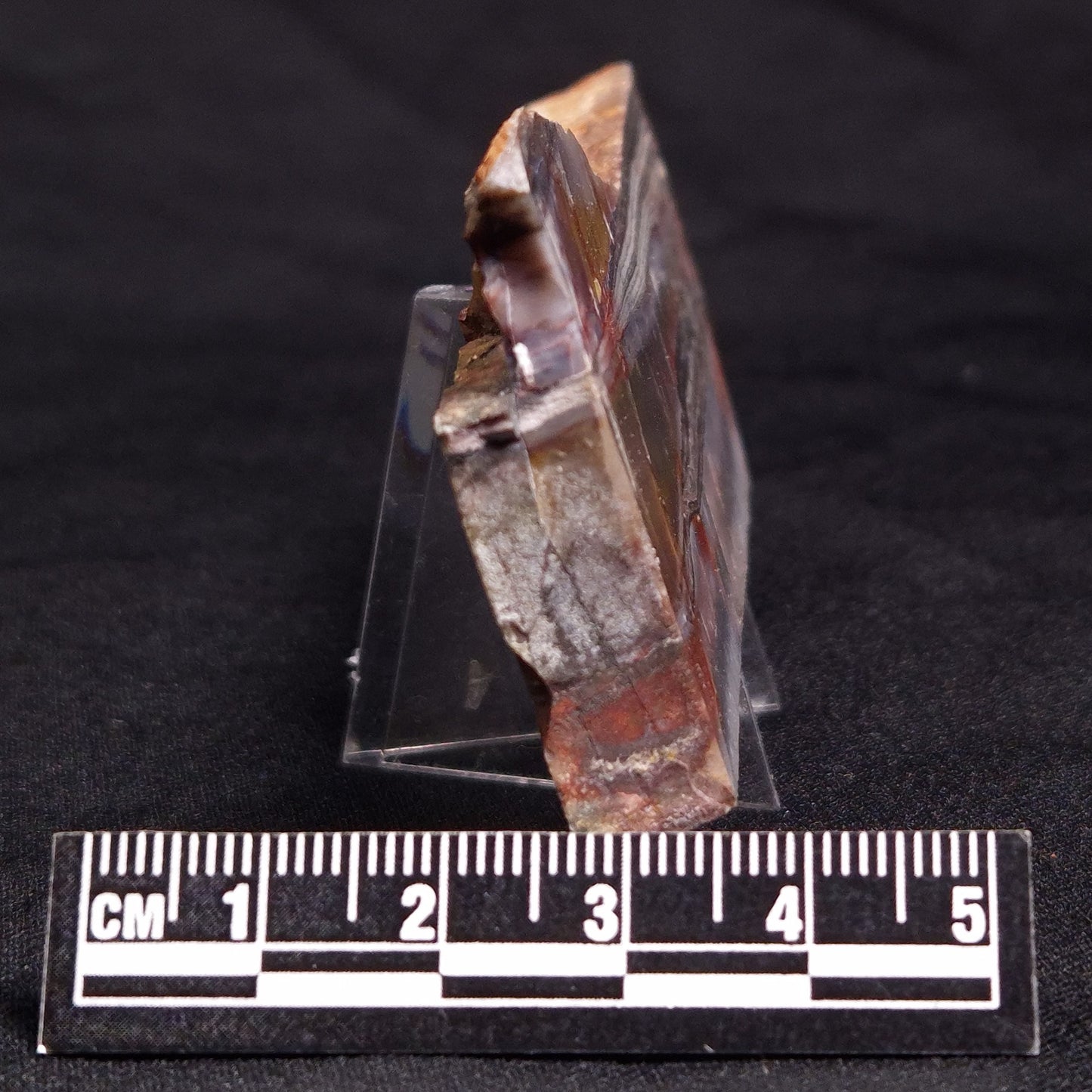STROMATOLITE, Jerrinah Formation, Proterozoic, Australia ZJF039