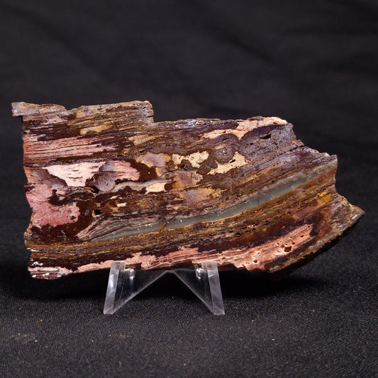 STROMATOLITE, Jerrinah Formation, Proterozoic, Australia ZJF040