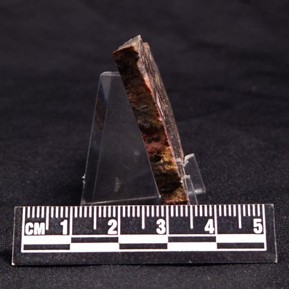 STROMATOLITE, Jerrinah Formation, Proterozoic, Australia ZJF040