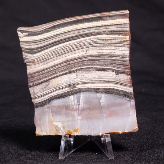 STROMATOLITE, Jerrinah Formation, Proterozoic, Australia ZJF041