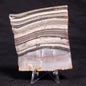 STROMATOLITE, Jerrinah Formation, Proterozoic, Australia ZJF041