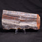 STROMATOLITE, Jerrinah Formation, Proterozoic, Australia ZJF042