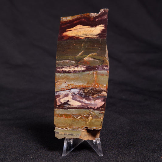 STROMATOLITE, Jerrinah Formation, Proterozoic, Australia ZJF043