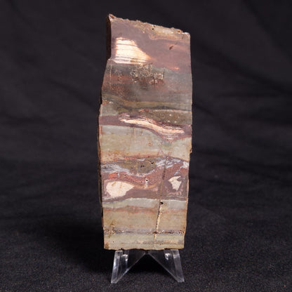 STROMATOLITE, Jerrinah Formation, Proterozoic, Australia ZJF043