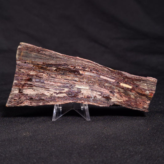 STROMATOLITE, Jerrinah Formation, Proterozoic, Australia ZJF044