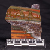 STROMATOLITE, Jerrinah Formation, Proterozoic, Australia ZJF045