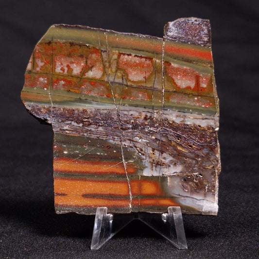 STROMATOLITE, Jerrinah Formation, Proterozoic, Australia ZJF045