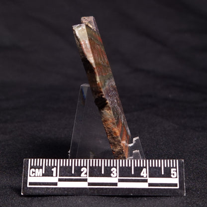 STROMATOLITE, Jerrinah Formation, Proterozoic, Australia ZJF045