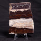 STROMATOLITE, Jerrinah Formation, Proterozoic, Australia ZJF047
