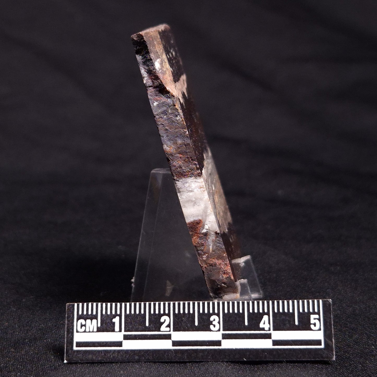 STROMATOLITE, Jerrinah Formation, Proterozoic, Australia ZJF047
