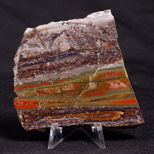 STROMATOLITE, Jerrinah Formation, Proterozoic, Australia ZJF048