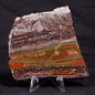 STROMATOLITE, Jerrinah Formation, Proterozoic, Australia ZJF048