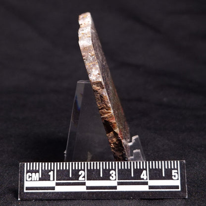 STROMATOLITE, Jerrinah Formation, Proterozoic, Australia ZJF048