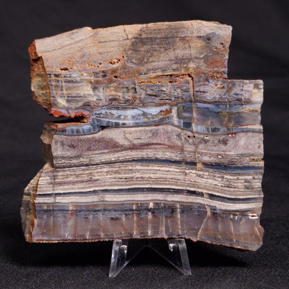 STROMATOLITE, Jerrinah Formation, Proterozoic, Australia ZJF052